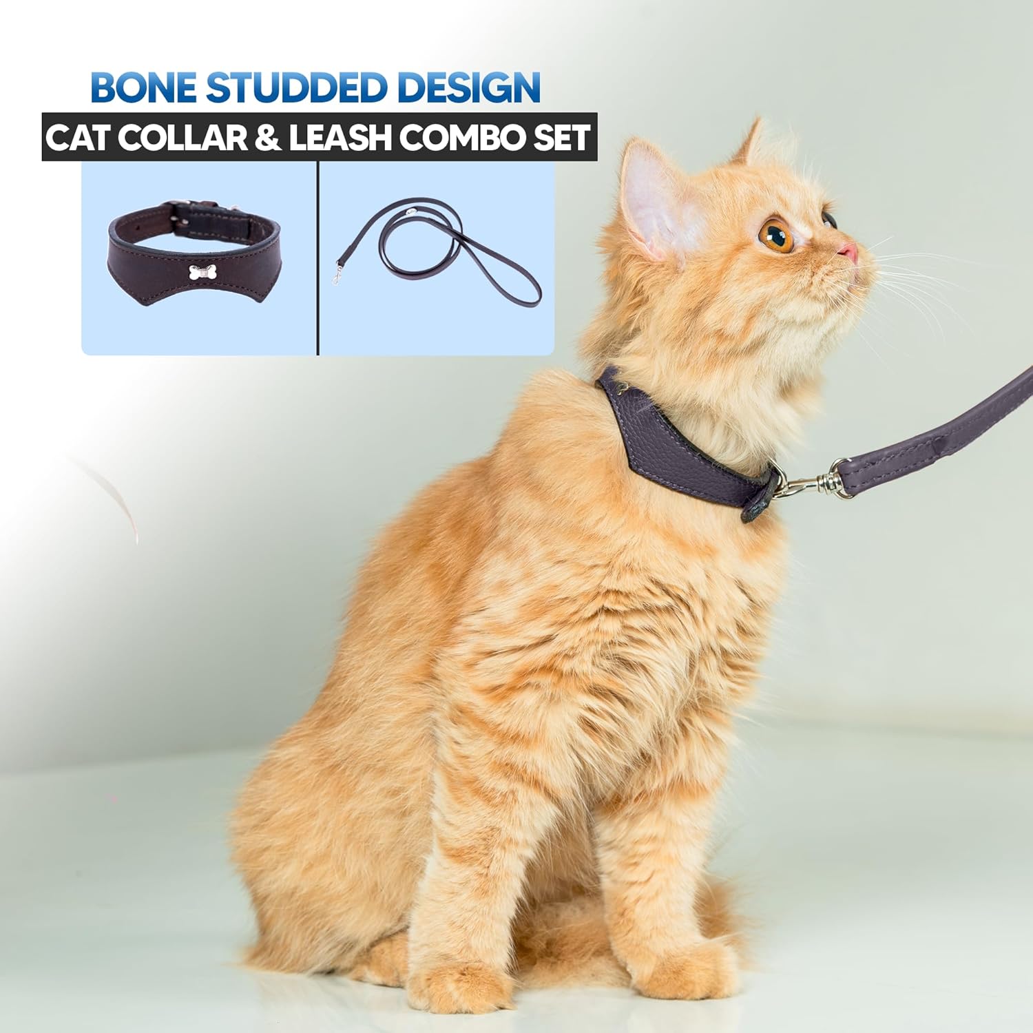 Adil’S Leather Cat Collar & Leash Set Combo - Stylish Single Bone Studded Design Collar, Genuine Leather, Adjustable Buckle & Secure 5ft Leash for Outdoor Activity (Brown)
